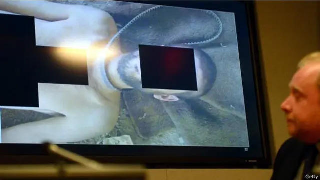 عرض اخصائيون بالطب الجنائي الصور على مجلس الامن في نيسان / ابريل 2014