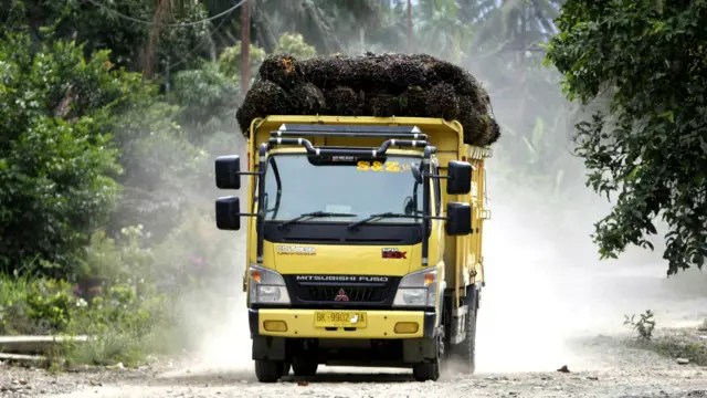 Truk pengangkut kelapa sawit