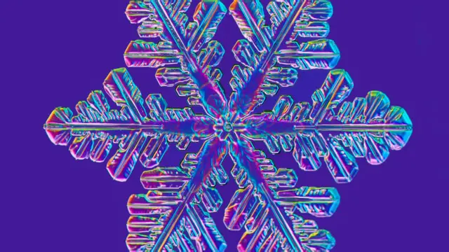 Copo de nieve (Crédito: Ken Libbrecht)