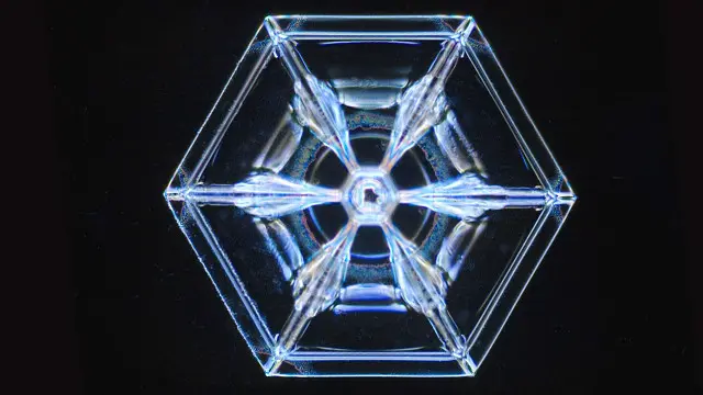 Copo de nieve (Crédito: Ken Libbrecht)