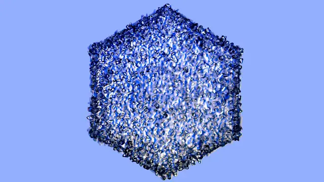 Copo de nieve (Crédito: Ken Libbrecht)