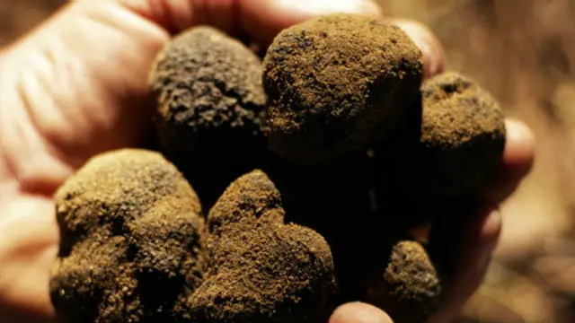 (圖片來源：Getty Images)