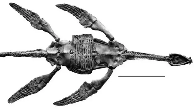 Плезиозавр