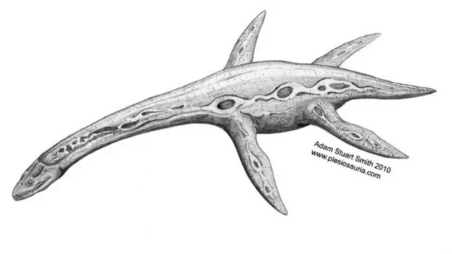 Рисунок плезиозавра