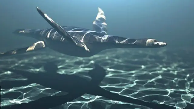 هذا النوع من الزواحف كان يستخدم أطرافه الأمامية للاندفاع وسط المياه 