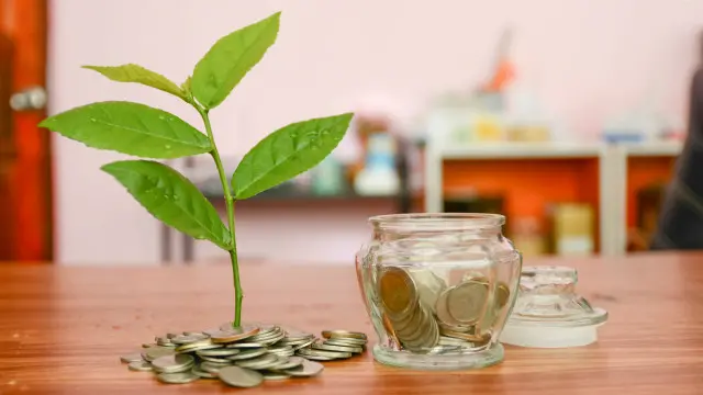 Unas monedas y una plantita