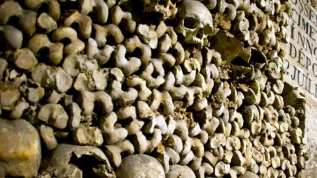 巴黎的地下墓穴（圖片來源：Huw Jones/LPI/Getty)