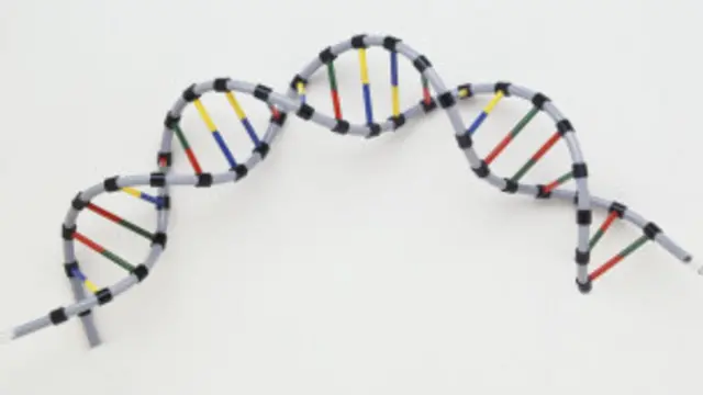 Hélice del ADN