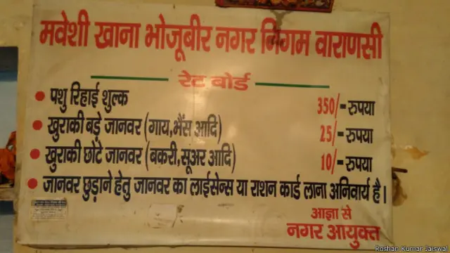 वाराणसी में मवेशी