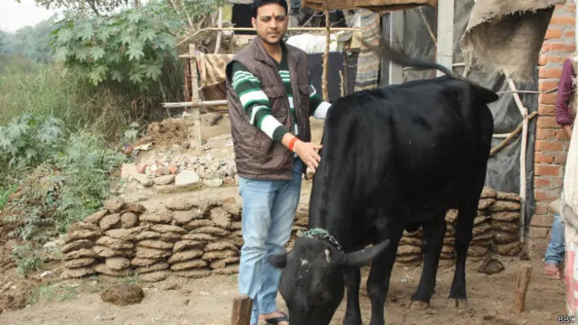 मेरठ में गाय बचाने की मुहिम के साथी हैं राहुल ठाकुर.