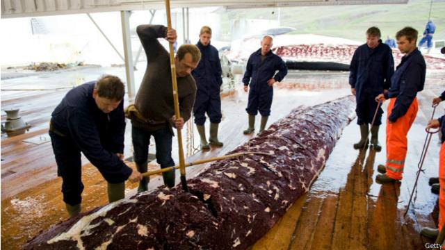 吃鯨魚肉的冰島人很少