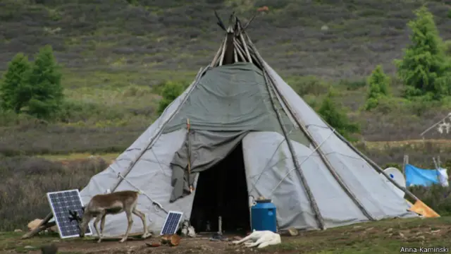查坦人的圓錐形帳篷和太陽能電池板。(Anna Kaminski)
