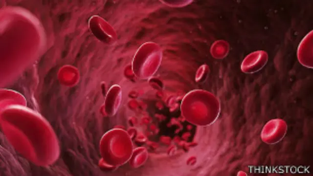 La medida se justificaba por considerar al colectivo un grupo de riesgo a la hora de transmitir infecciones por la sangre.