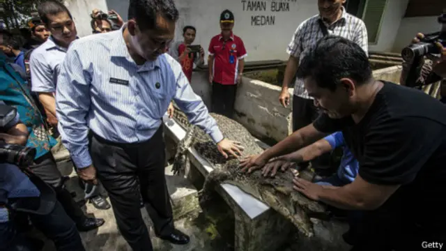 Budi Waseso (kiri) saat mengunjungi taman buaya di kota Medan, Sumut, awal November 2015 lalu.