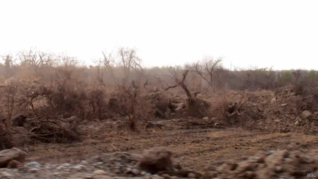 په سنگين کې د عامو خلکو باغونه چې څو اونۍ وړاندې حکومتي عملياتو کې نړول شوي.