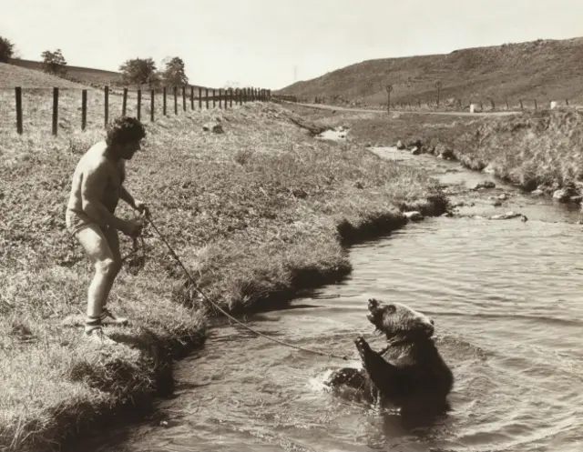 Hercules The Bear A Gentle Giant in the Family I Maggie Robin