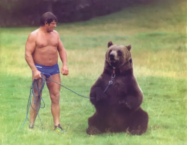 Hercules The Bear A Gentle Giant in the Family I Maggie Robin