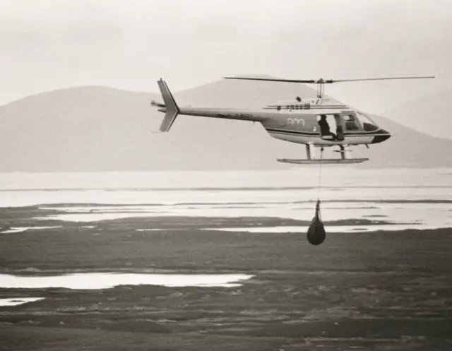 Hercules The Bear A Gentle Giant in the Family I Maggie Robin