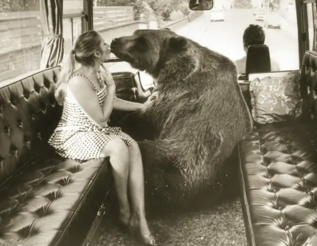 Hercules The Bear A Gentle Giant in the Family I Maggie Robin