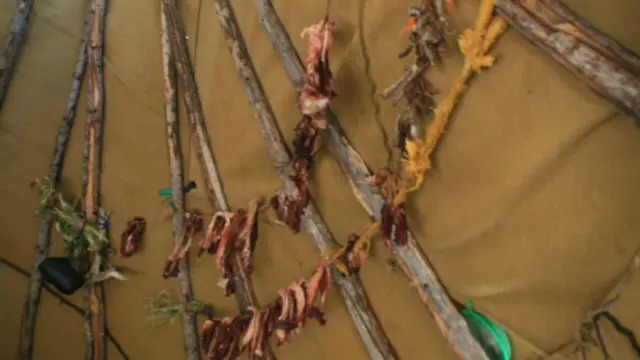 吊掛在帳篷內的熏肉(圖片來源:Anna Kaminski)