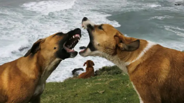 Diğerinin ruh halini anlamak oyunun daha uzun sürmesi demek.