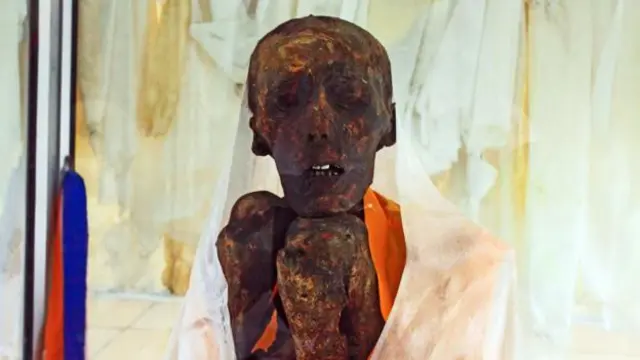 佛教高僧僧伽丹增（Sangha Tenzin）的木乃伊遺體已有500年歷史。（圖片來源：Neelima Vallangi）
