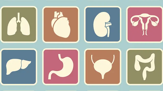 De estos, se salva el corazón.