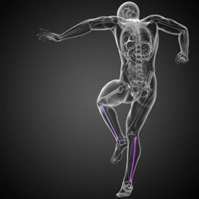 Este hueso sirve como repuesto.