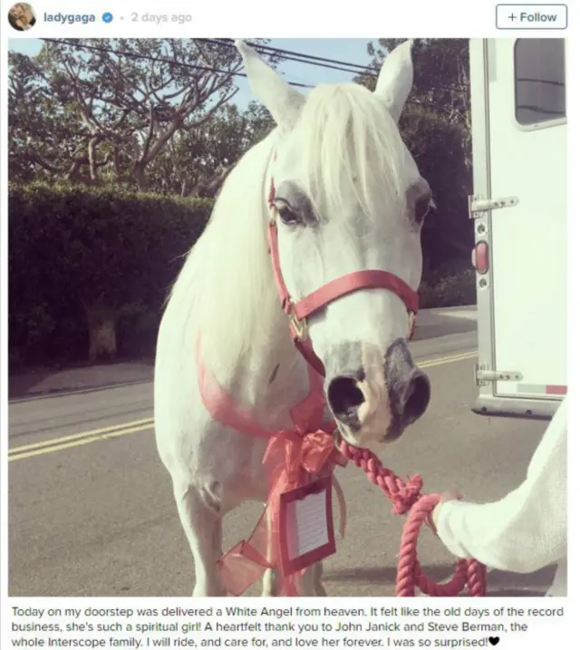 Malaikat putih tiba di rumah Lady Gaga.