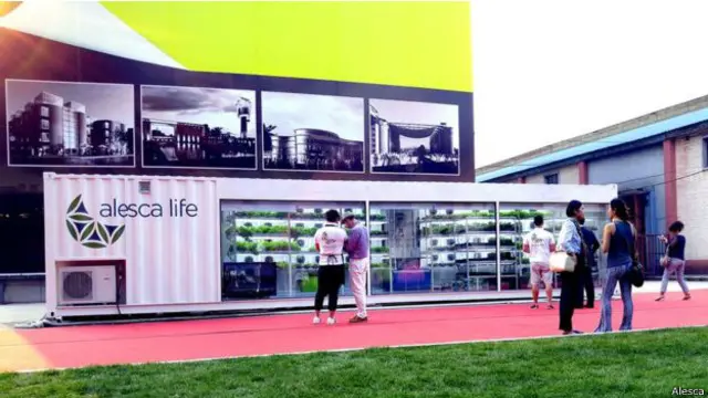 La start-up Alesca usa contenedores de barcos en desuso ara cultivar sus plantas. 