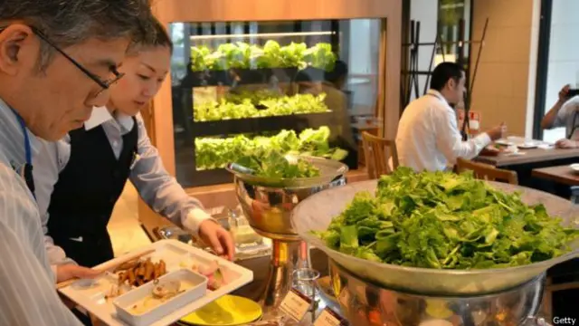 Cultivar vegetales con esta metodología permite tener una producción realmente local. 