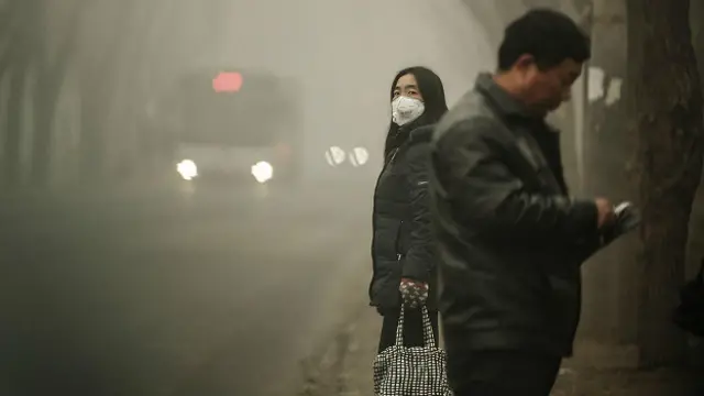 Если не менять образ жизни и питания, но переехать в район с более грязным воздухом, то от этого можно потолстеть