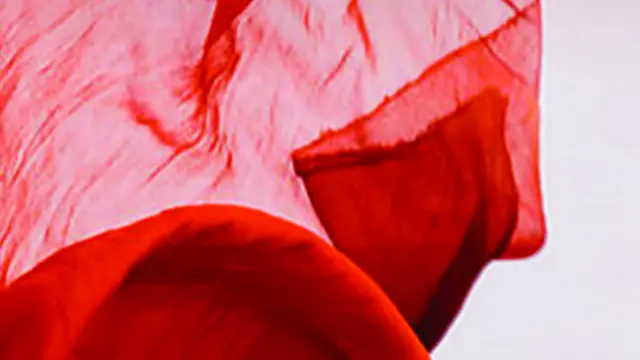 स्त्री विमर्श