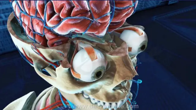 د افغانستان دولت وايي تمه یې دا ده چې تر راتلونکو پنځو کلونو د افغانستان ټول ښوونځي د دغه سیستم تر پوښښ لاندې راولي.