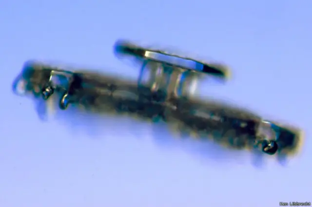 Kristal-kristal seperti ini terbentuk pada suhu sekitar -6 C.