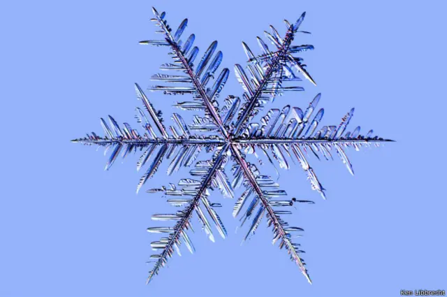 Kristal tampak seperti daun pakis ini ukurannya lebih besar dari 'dendrit bintang.'