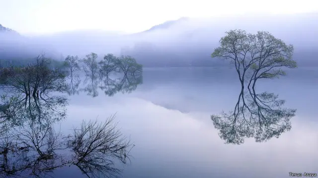 Danau Shirakawa di Prefektur Yamagata.