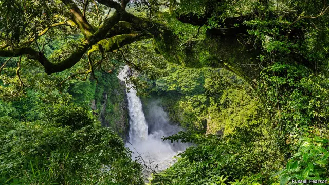 Air terjun yang tersembunyi terletak di pulau Kyushu.