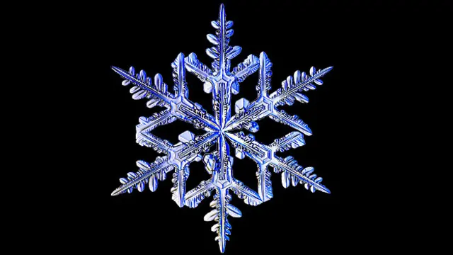 Эти звёздчатые дендриты названы так из-за своей формы, напоминающей звезду