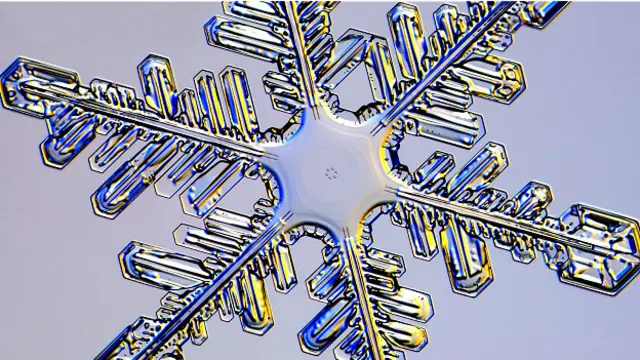 Либбрехт выращивает кристаллы льда у себя в "снежинковой лаборатории"