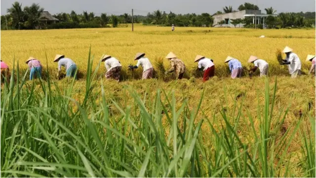 Nhiều yếu tố như biển, con người đã không được báo cáo DHI xem như có tác động đến dòng sông Mekong