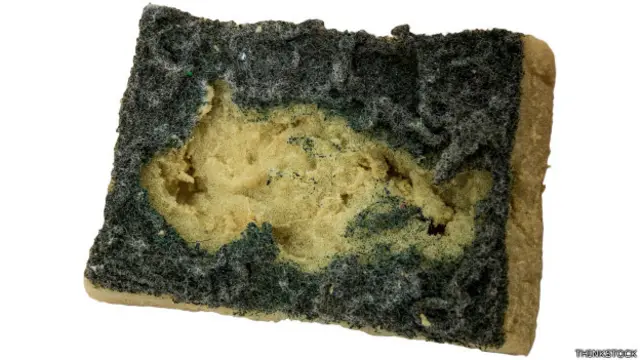 A esponja úmida e sem escorrer é um local propício para proliferação de bactérias