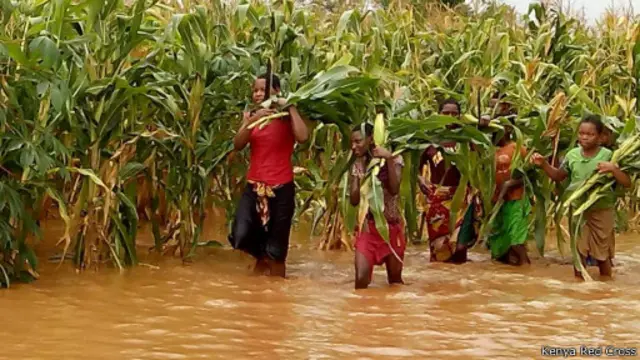 بارش غیرعادی باران و جاری شدن سیل در نقاط دیگر