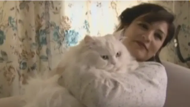 Кіт Туреччина