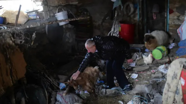 Dargeçit'te 11 gün süren yasak boyunca ilçede çok sayıda hayvan da telef oldu. 