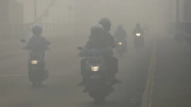 Kebakaran hutan tahun lalu yang terparah yang pernah ada menyebabkan kabut asap tebal hingga ke Singapura, Malaysia dan Thailand