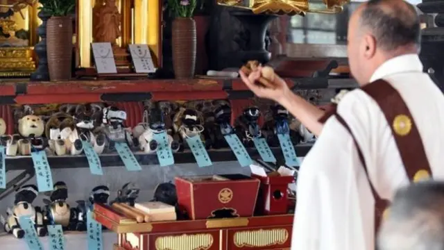 در ژاپن با سگهای ربات مثل حیوانات خانگی رفتار میشود و برای مرگشان عزاداری میکنند