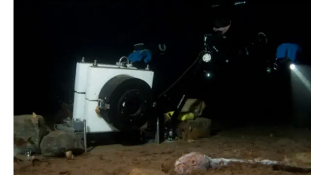 جسد یک ماهی روغن (کاد) طعمهای فریبنده برای موجودات مختلفی است که در تاریکی زندگی میکنند