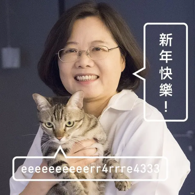 蔡英文与爱猫合照的海报(台湾中央社图片1/1/2016)