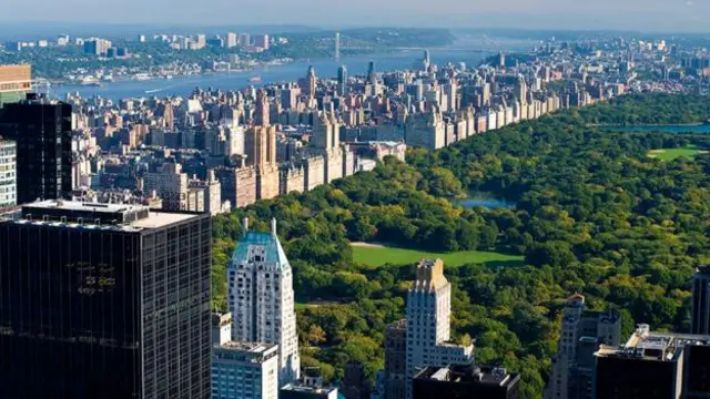 一年有大约3500万人造访中央公园这块巨大的绿地。（图片来源：Getty）